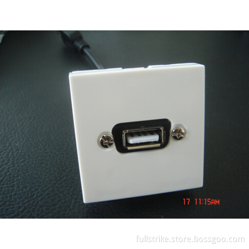 USB Female to Female Wall Plate